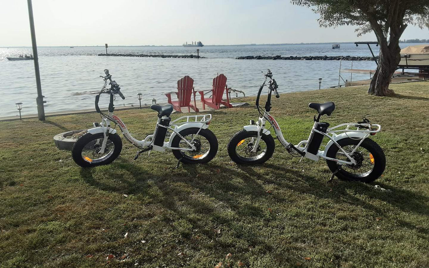 Two DJ Folding Bike Step Thru fat tire e-bikes on a grassy beachfront
