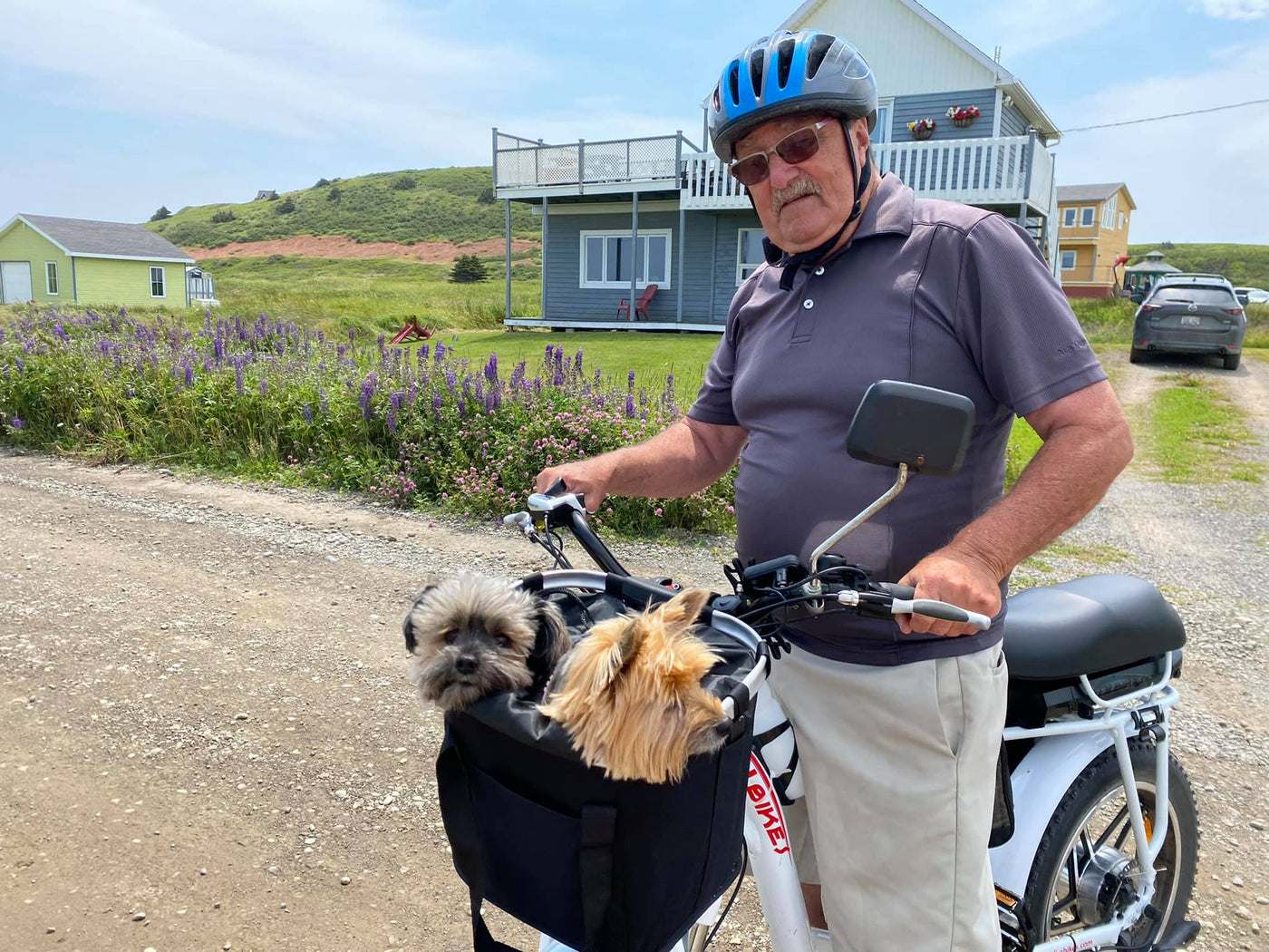 A smiling customer riding a DJ Super Bike e-bike equipped with a front basket holding two Yorkshire Terrier dogs on a dirt road