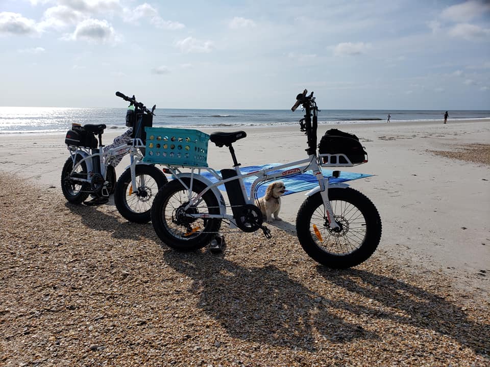 A Shih Tzu dog posing with two DJ folding fat tire e-bikes equipped with front baskets in front of the Atlantic Ocean at Ponte Vedra Beach, Florida