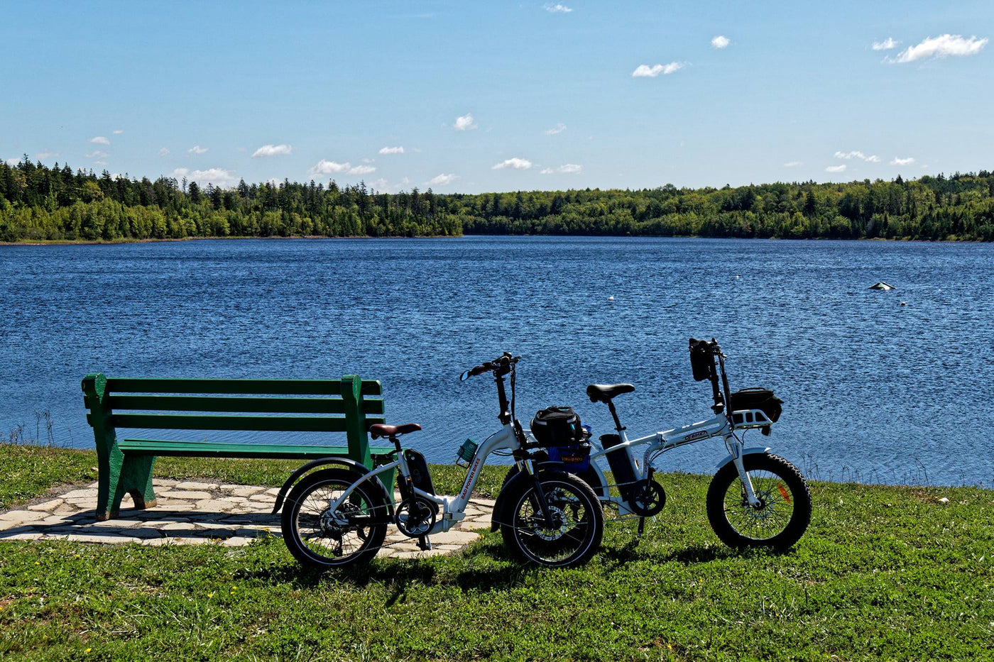 A DJ Folding Bike e-bike and DJ Folding Bike Step Thru e-bike posed on grass in front of a lake