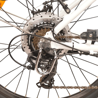 Electric mountain bike quality Shimano derailleur and gear shifting system, DJ Mountain Bike
