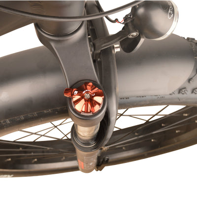 DJ Fat Bike, fat tire electric bike with preload adjustment suspension fork - DJ Bikes Canada