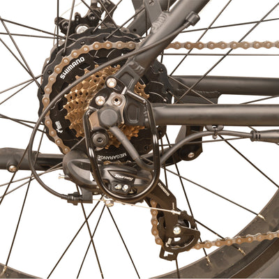 Fat tire electric bike quality Shimano derailleur and gear shifting system, DJ Fat Bike
